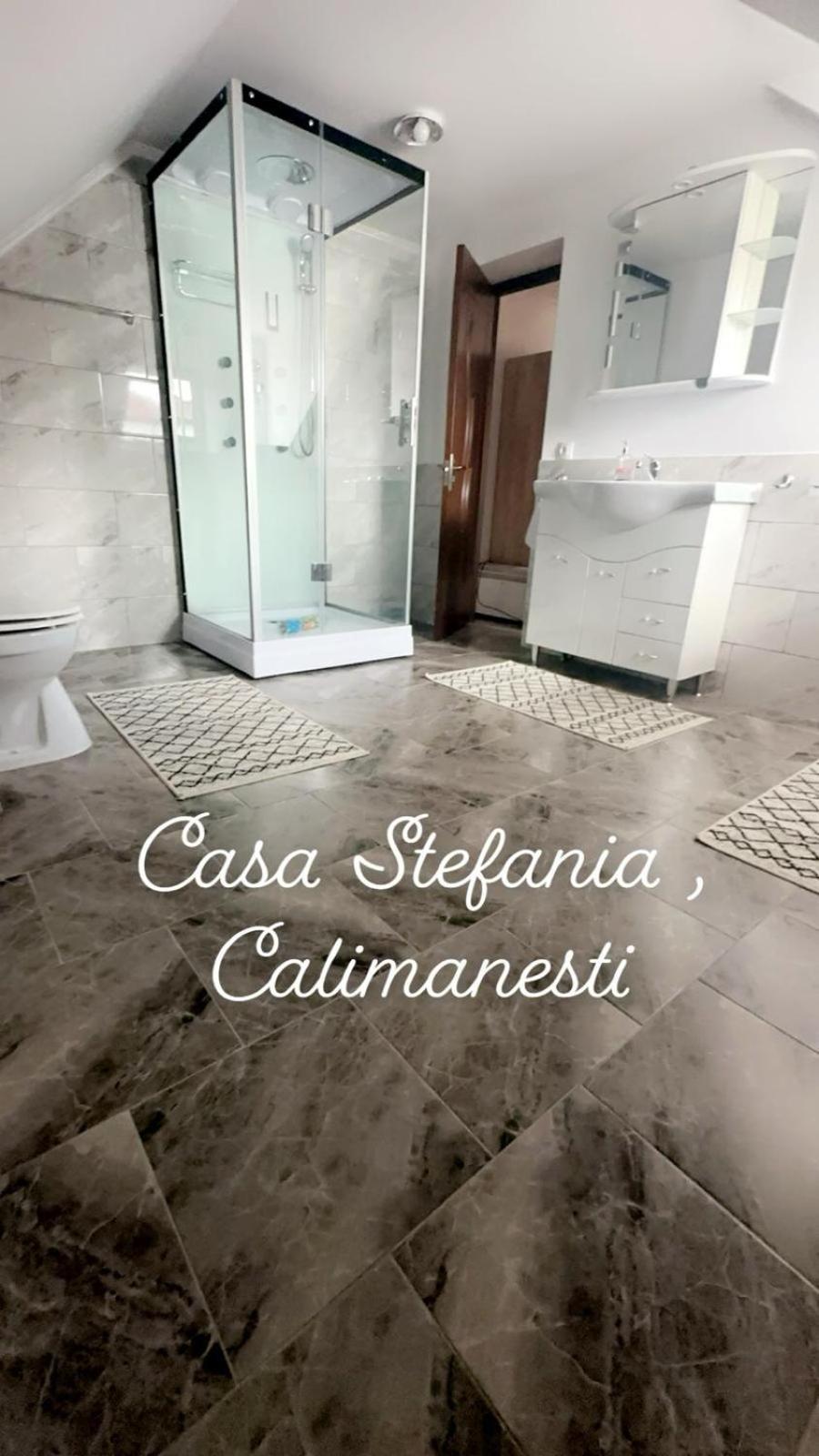 Casa Stefania 1 Apartment Calimanesti Exterior photo
